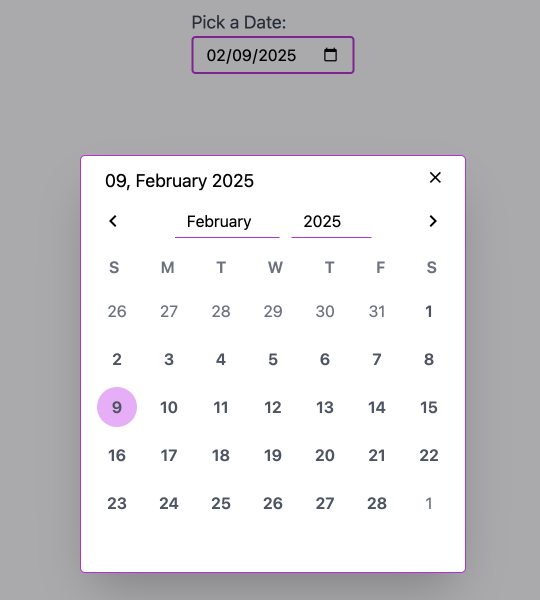 Vue DatePicker
